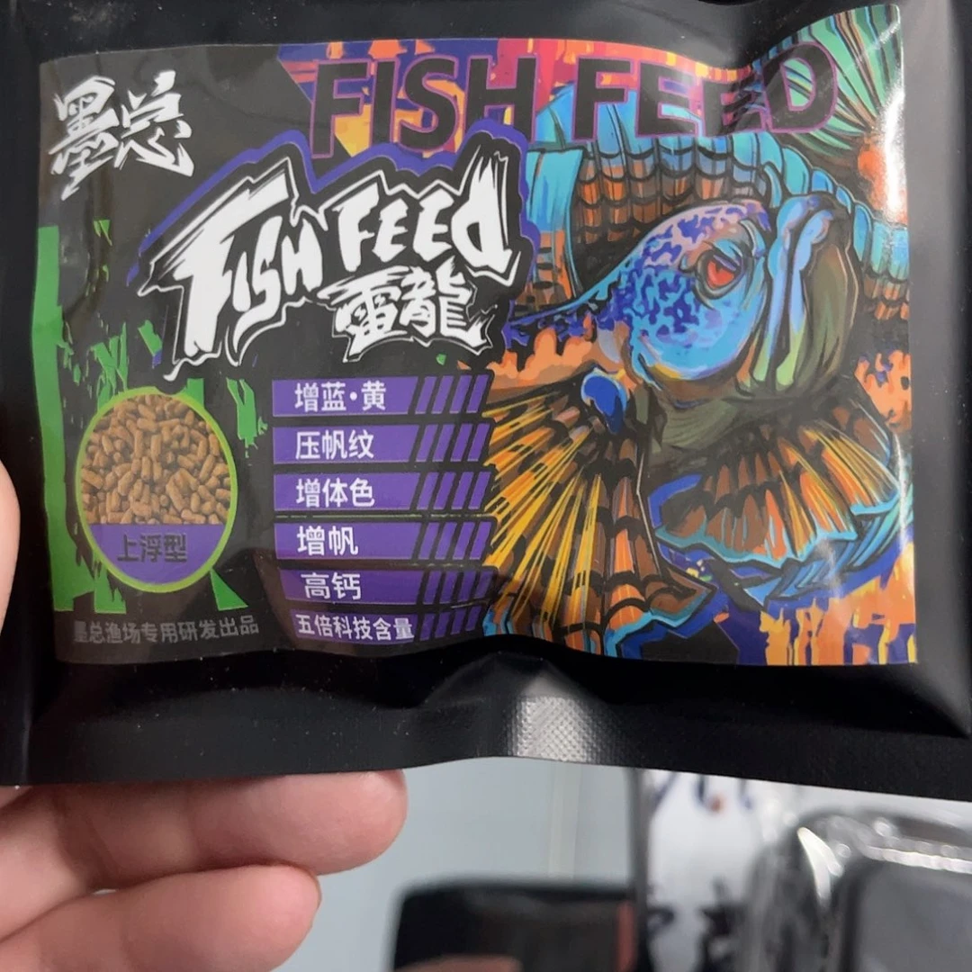 雷龙鱼五倍蓝色的