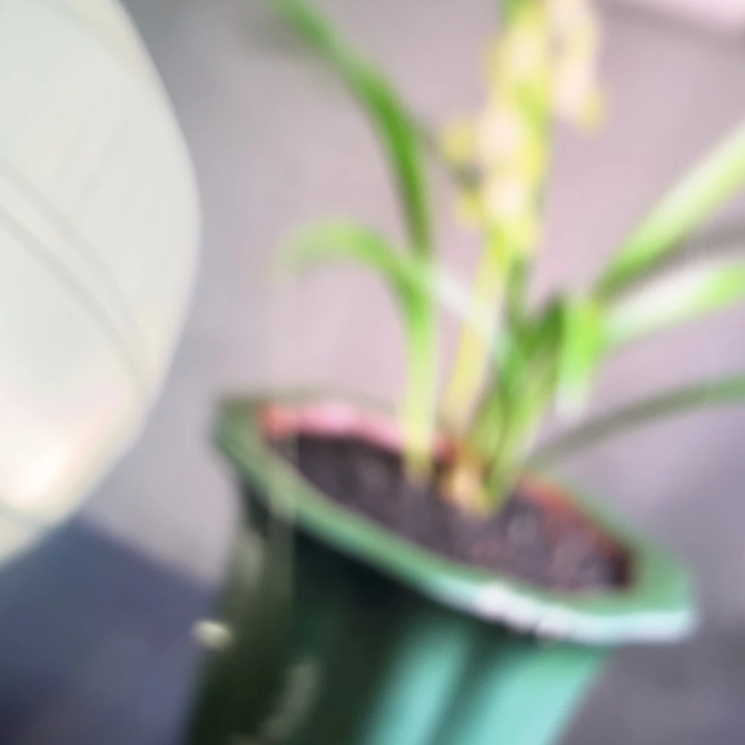 琼***姨高温正宗手工花盆