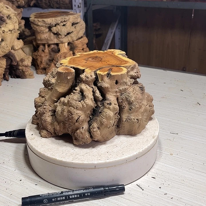 香榧木呜呜呜呜呜呜呜