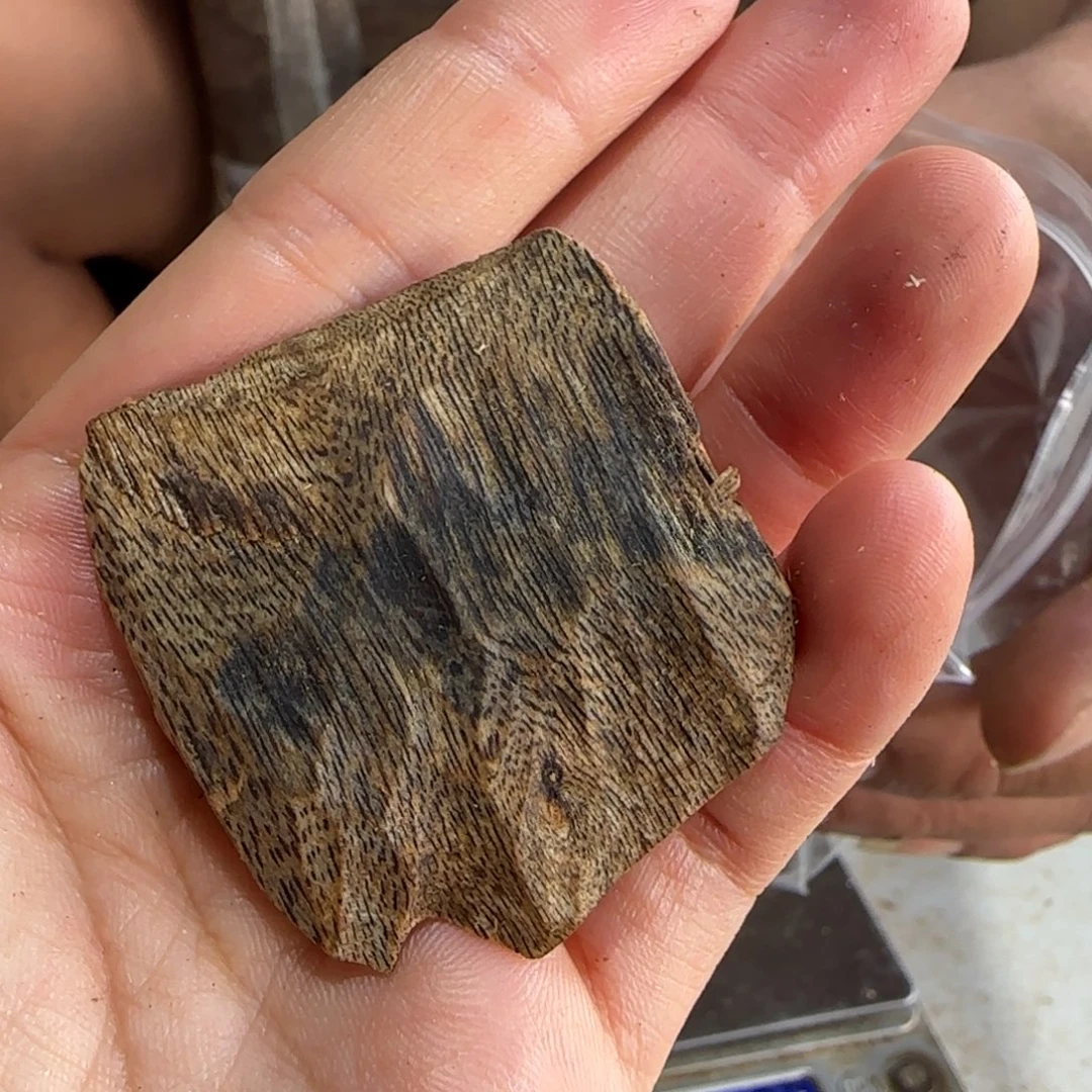 放***好沉香沉香碎屑窖藏墨香一块