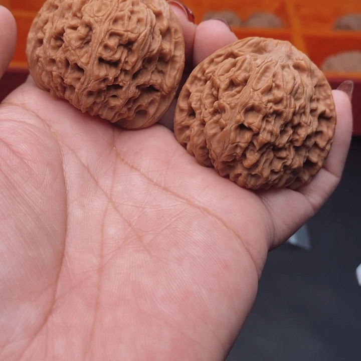 核桃南疆石43尺核桃