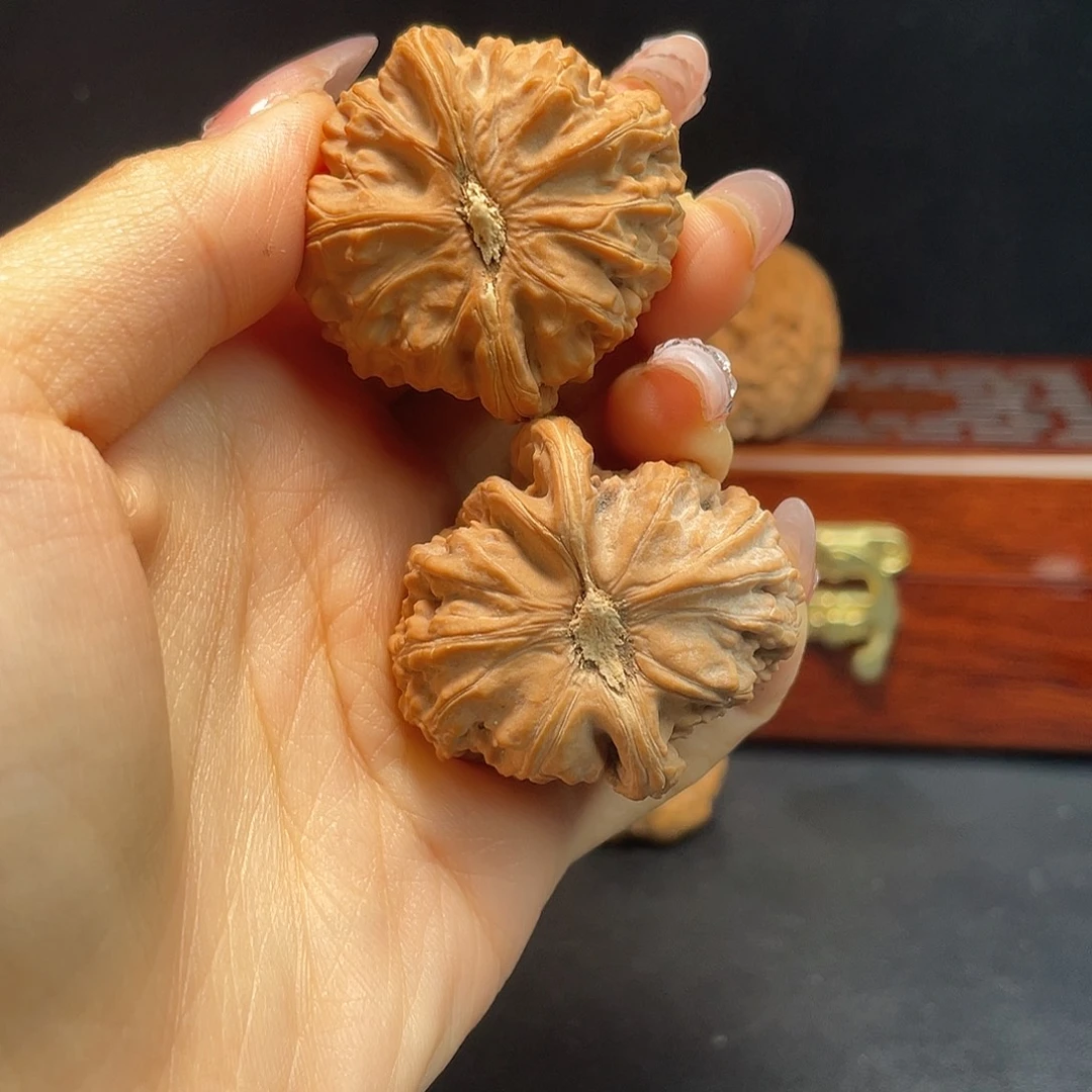 把件文玩核桃白狮子36尺