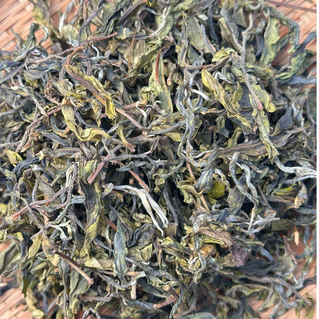 2025年弯弓古树黄金叶-500克核心地块 春 散茶普洱茶生茶