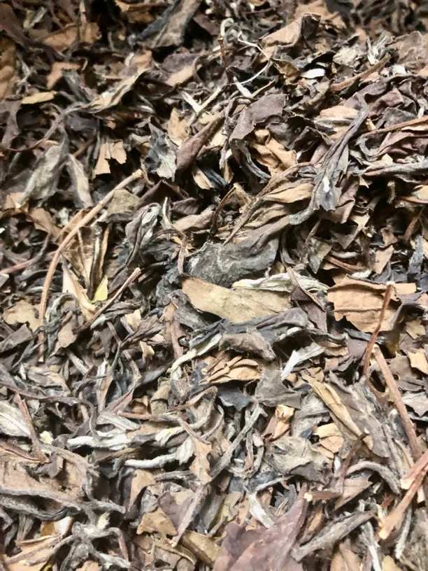 【福鼎白茶】2014年份寿眉野茶花蜜香枣香药香散称白茶