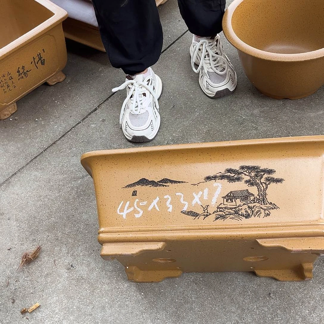 紫砂花盆盆景艺术