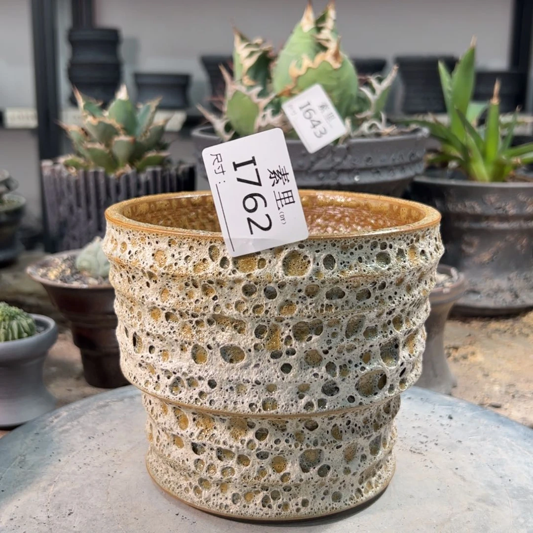 景德镇素里手工内口13.5高12