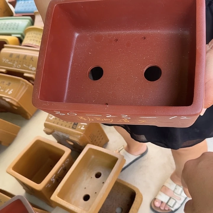 紫砂花盆这是我的