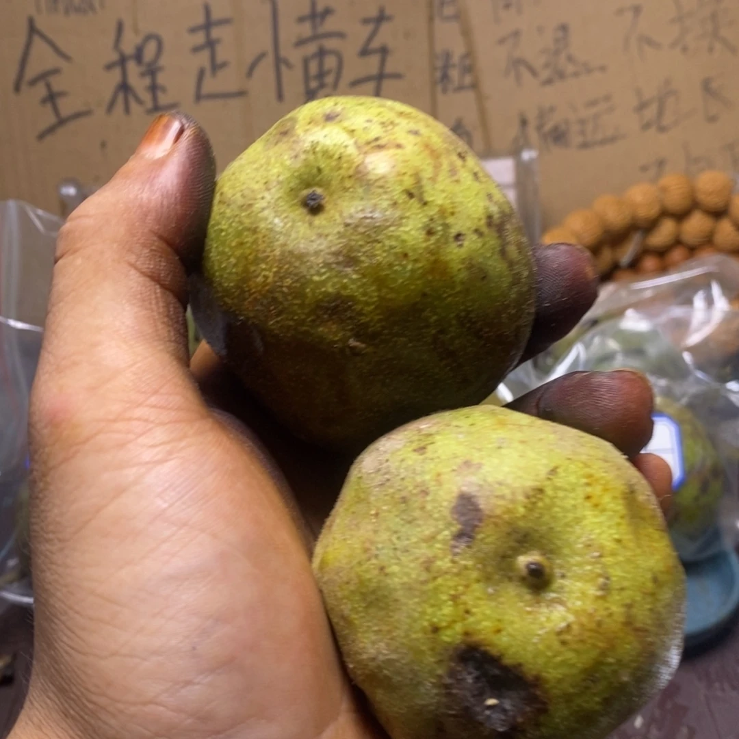 Zjc产地直发四座楼19