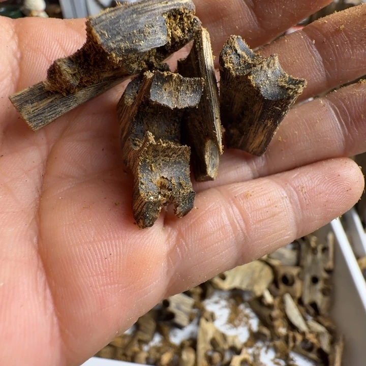 沉香碎屑沉香奇楠沉香绿奇楠钻珠边角料碎料100克重