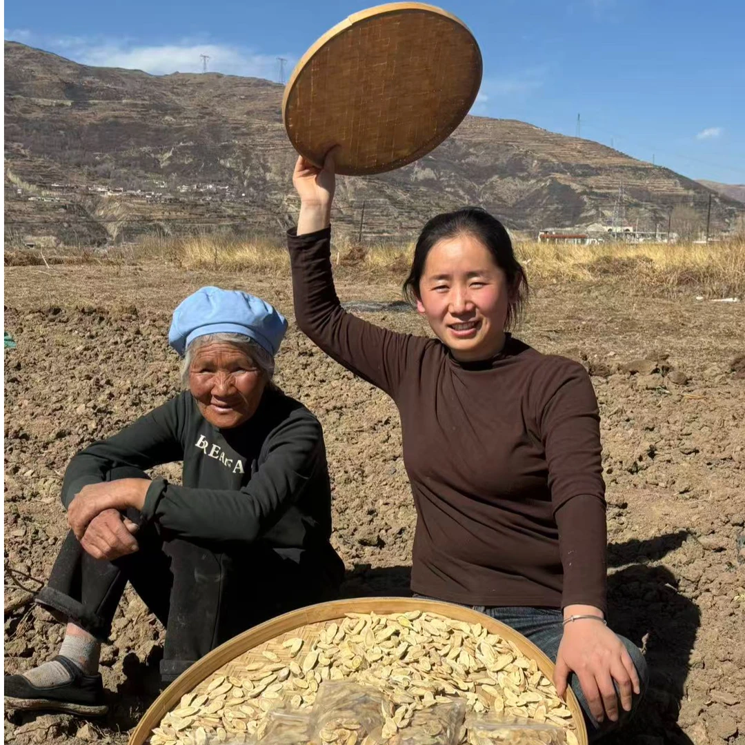 正宗甘肃岷县无硫大片优选黄芪