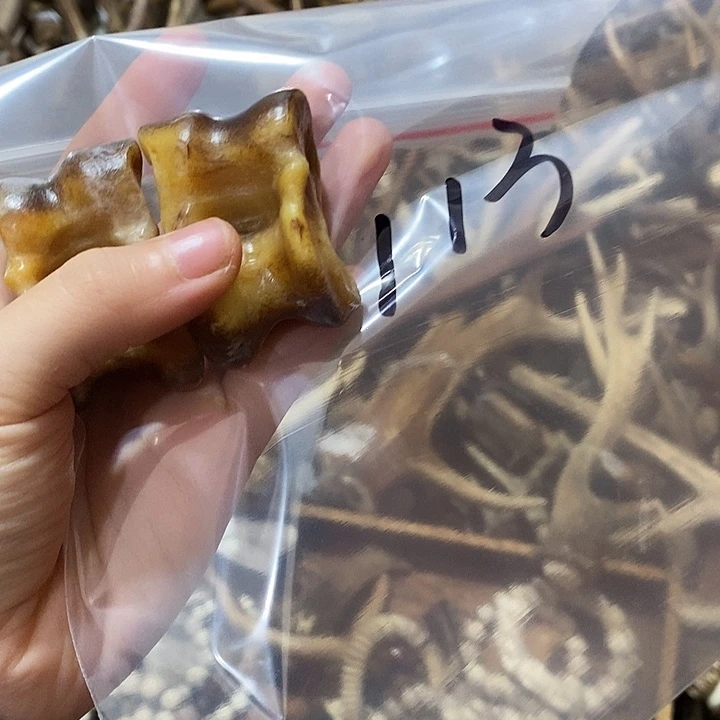 用***2非金属鹿骨鹿骨鹿骨