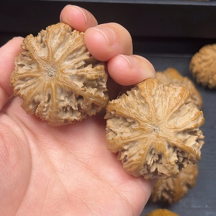 贺***杨核桃秦岭文玩核桃