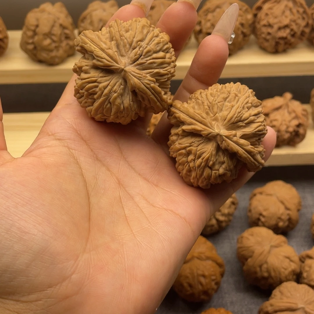 把件文玩核桃白狮子47