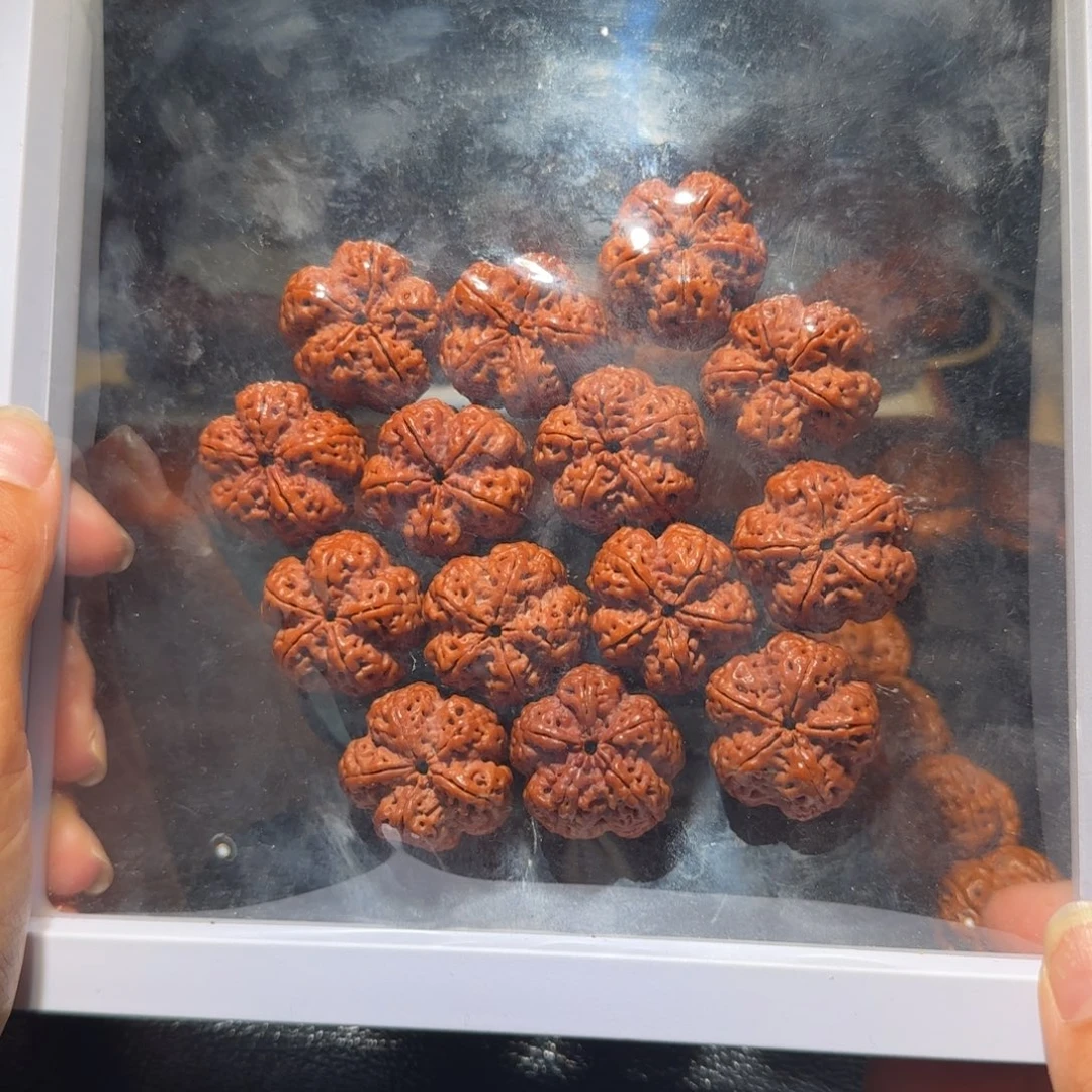 金刚菩提吊坠26玄武定制