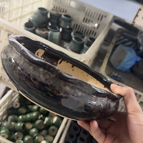 ····全是福利····