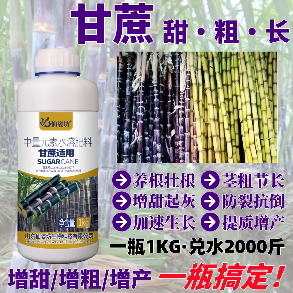 甘蔗专用拉长增甜剂叶面肥增粗膨大拔节叶面肥补充生长元素水溶肥