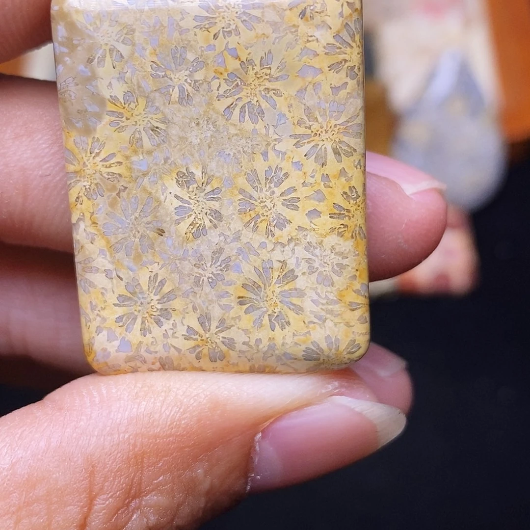 北***风硅化玉合金珊瑚玉