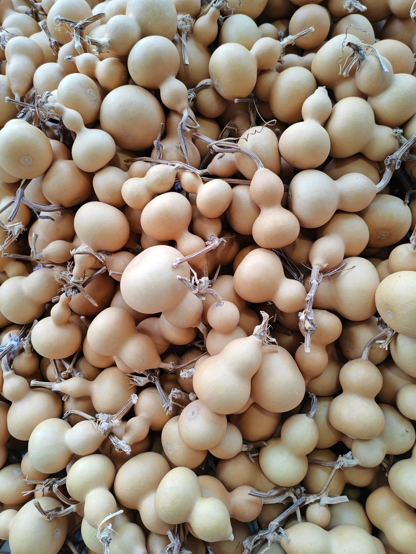 不保龙头天然手捻小葫芦通货8个，4-7厘米左右（通货偶有微瑕）