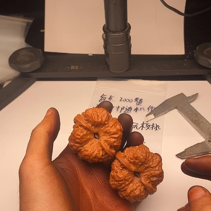 辉***业桃核吊坠55555555555555