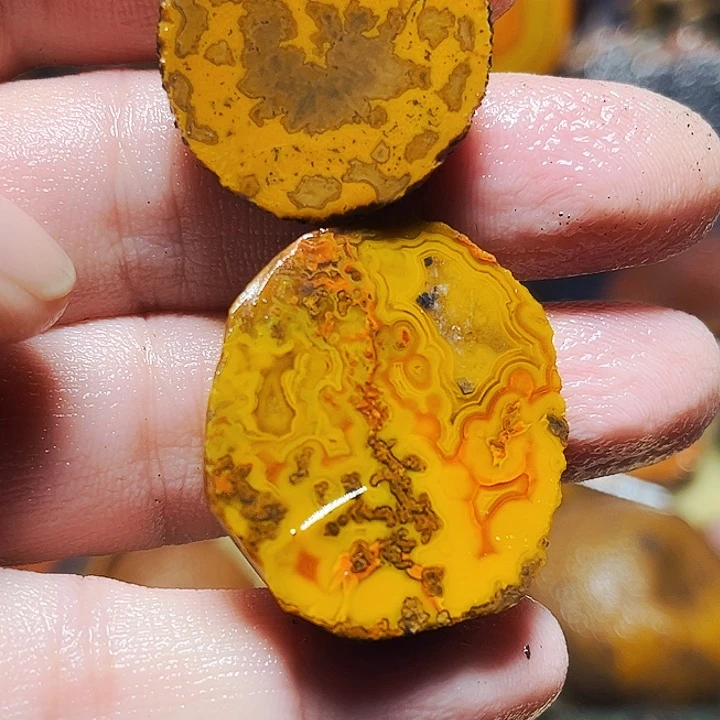 秀***驹玛瑙/玉髓未镶嵌珠宝奇石