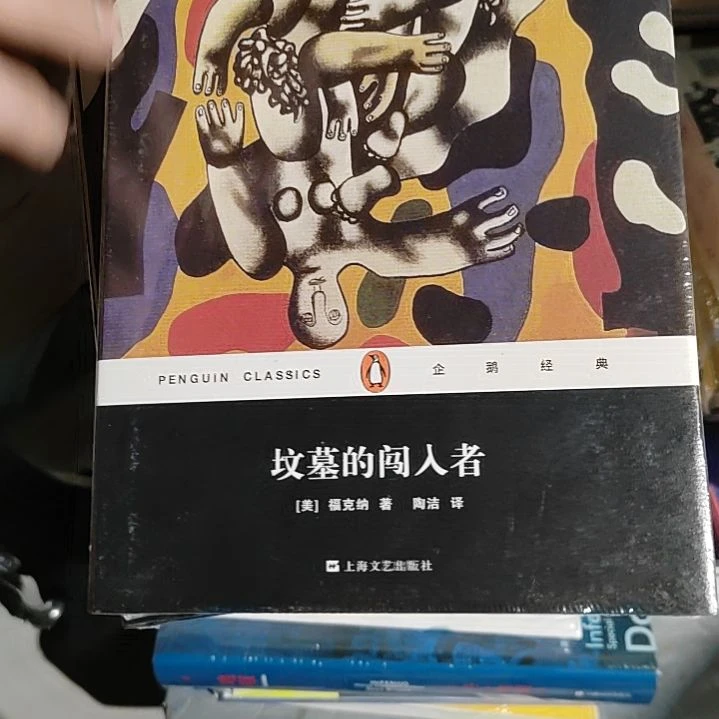 坟墓的闯入者精装塑封全新