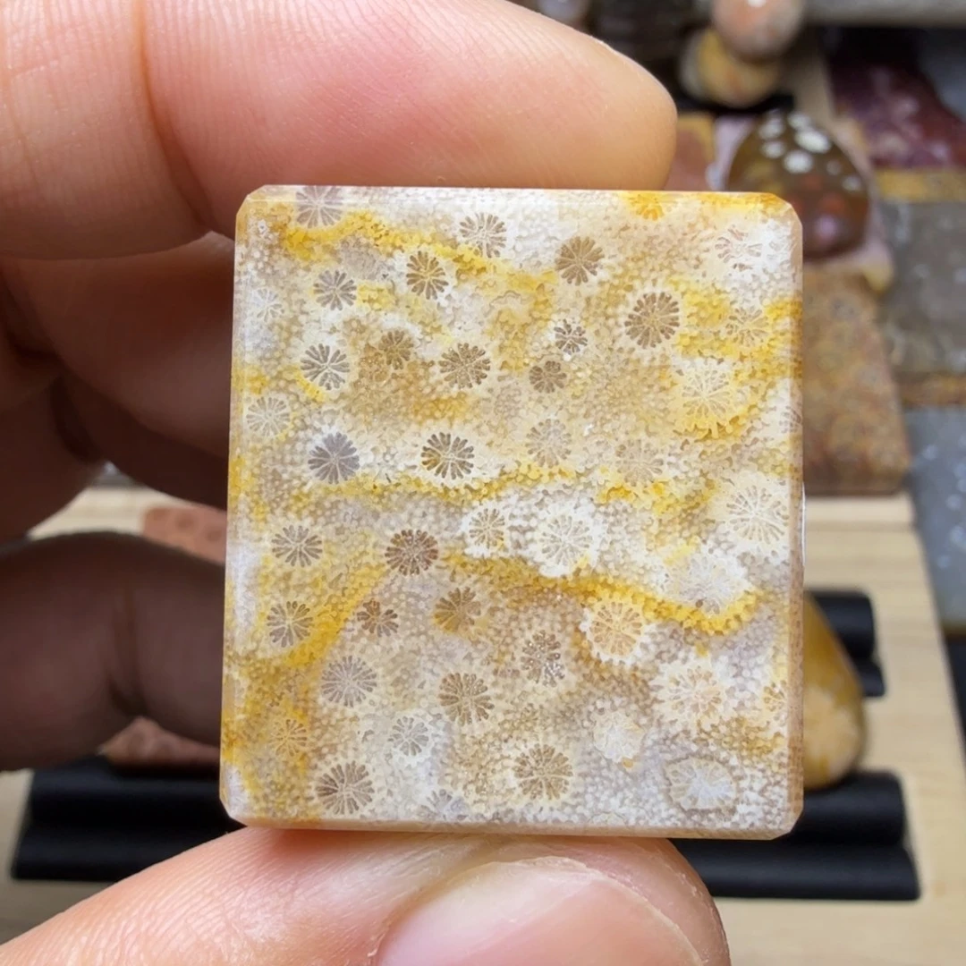 硅化玉未镶嵌纯天然色有机玉石保真色