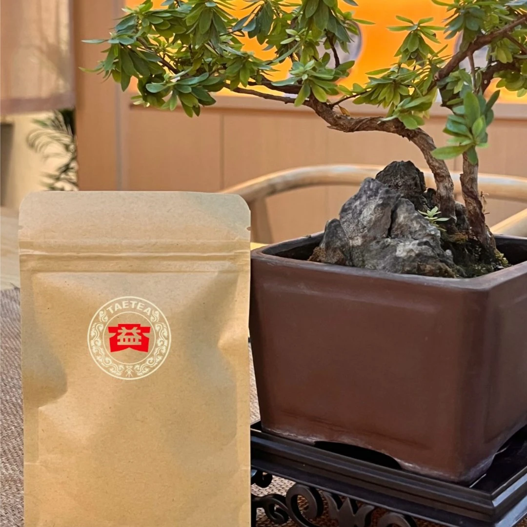 春秋大义 普洱熟茶 8克