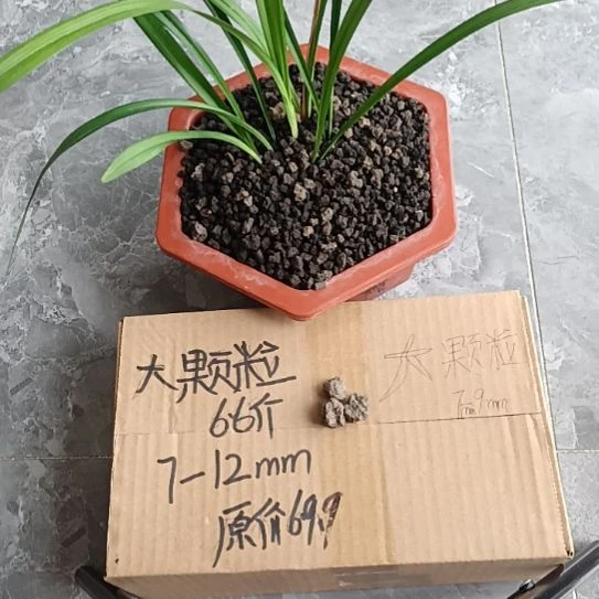 @***￥兰菌黑山土大颗粒6.6斤