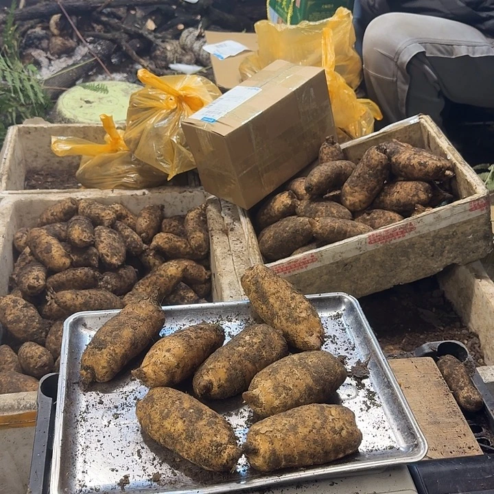 中国大陆福利大果2斤