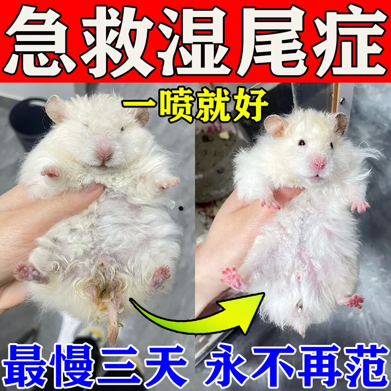 仓鼠湿尾急救感冒拉稀拉肚子胀气拉血精神萎靡仓鼠常用品益生菌