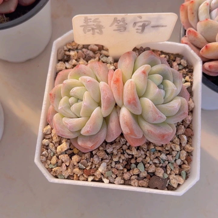 健健康康平平安安