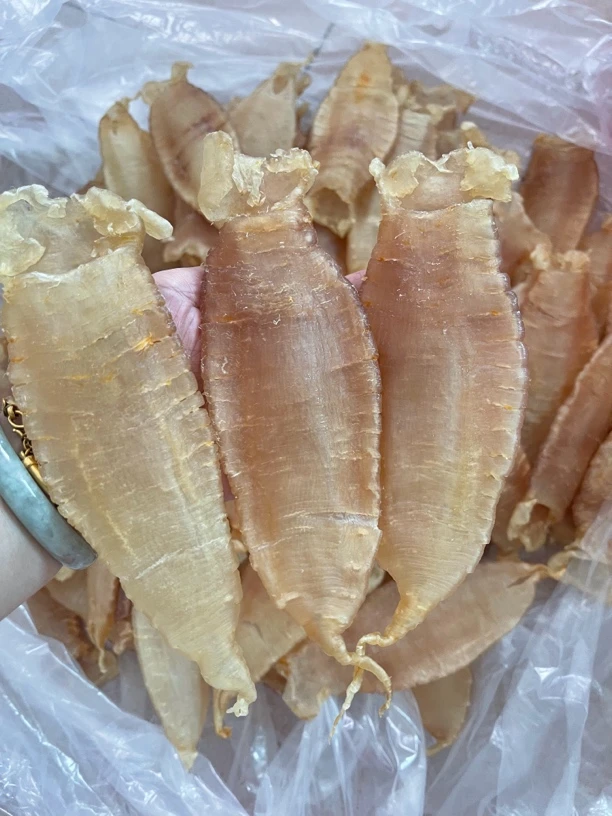 广东阳江 本港赤嘴母 赤嘴鳘鱼胶 12头