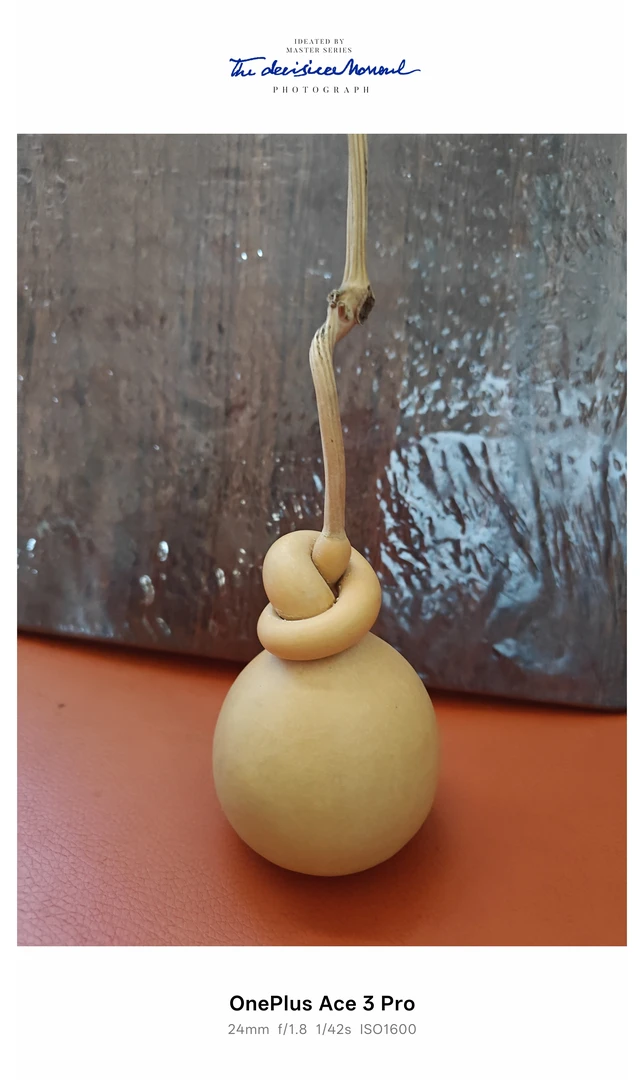 种植销售的精品葫芦龙头装饰招财纳福