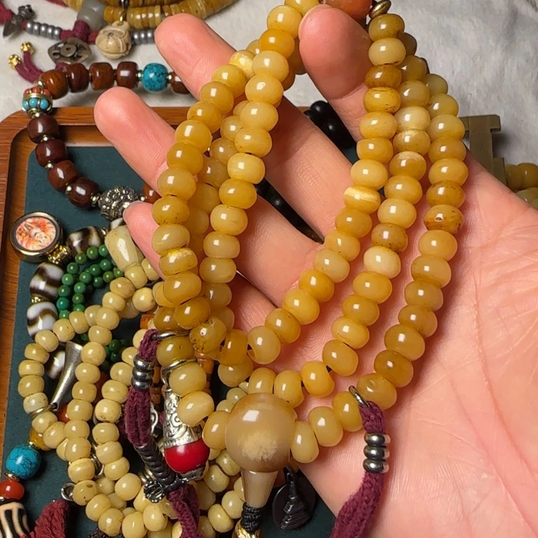 …………………………………………………