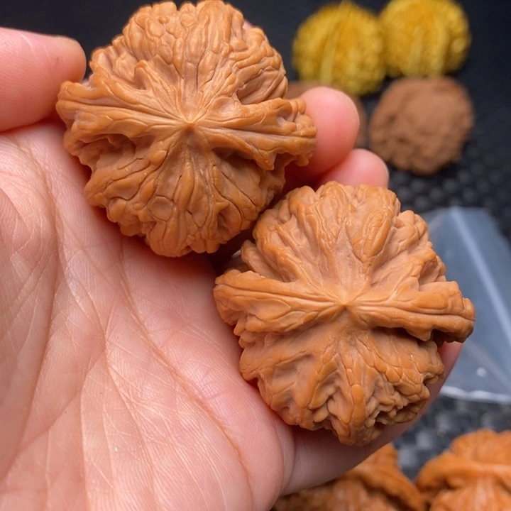 文玩核桃把件红锦鲤42尺