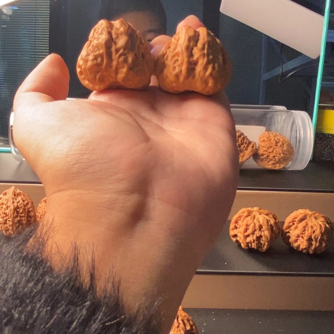 i***吊坠文玩核桃蛤蟆头