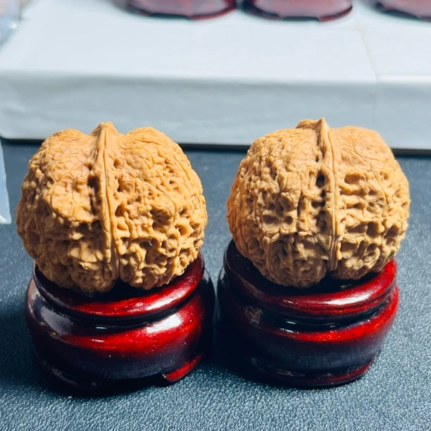 42mm 矮胖子 克重 55