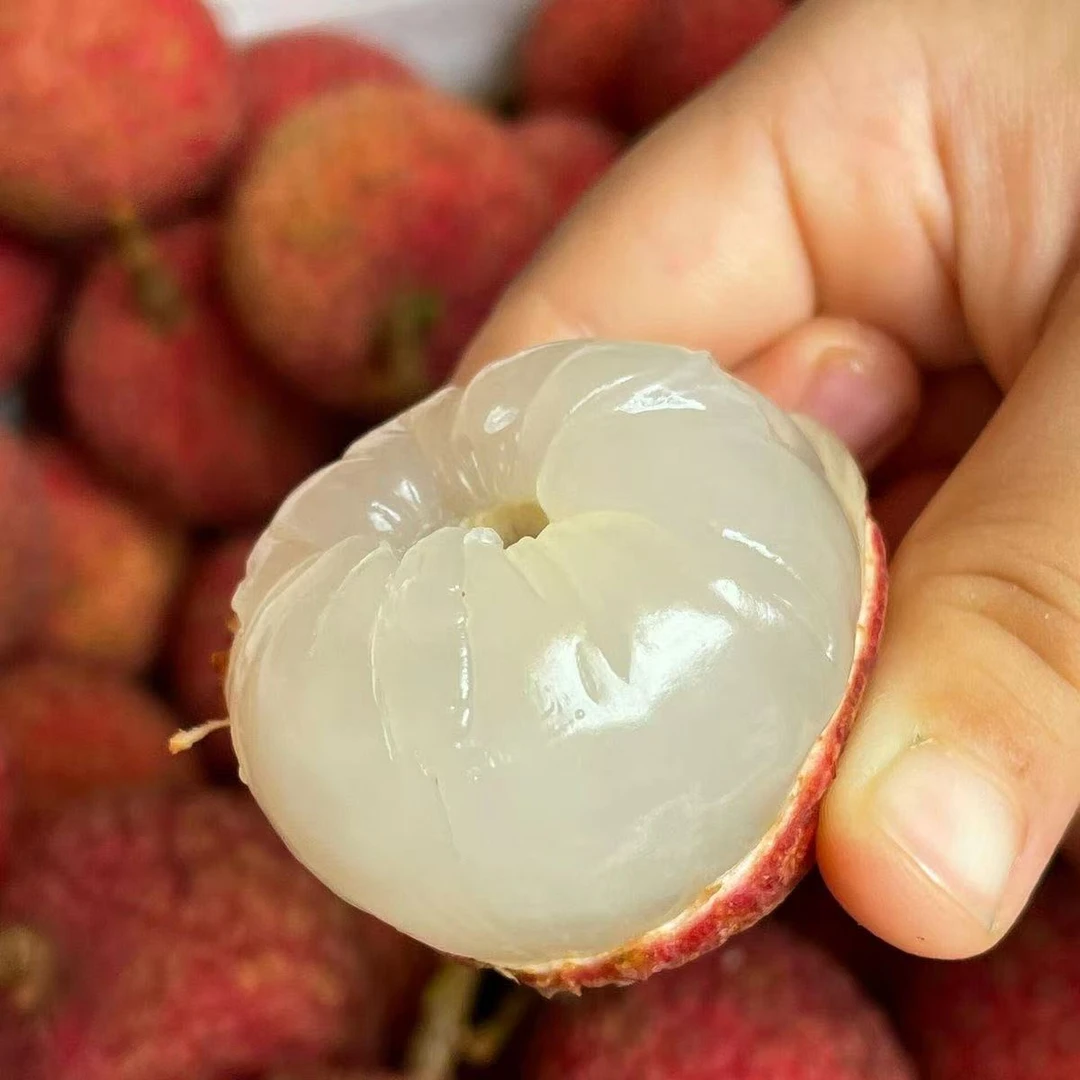 广西钦州白糖罂当季老树荔枝新鲜水果纯甜冷链包邮整箱现摘现发