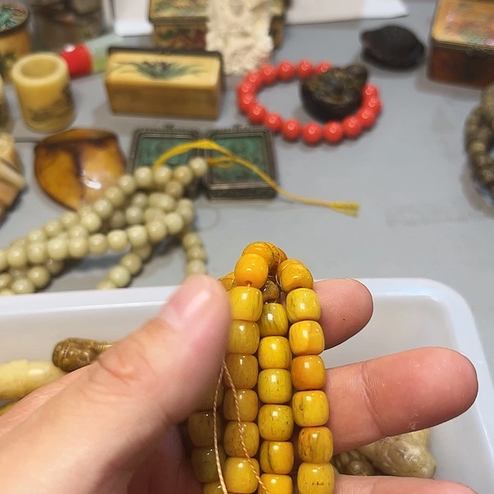 大果紫檀（缅甸花梨）