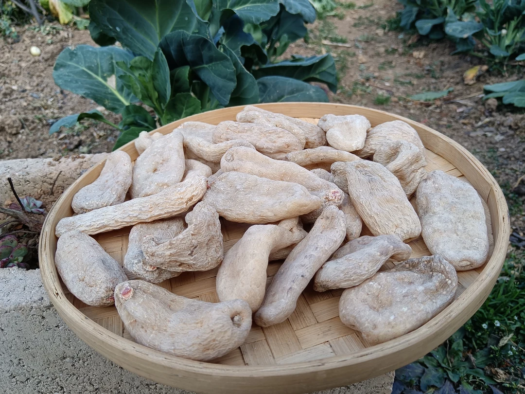 临时链接昭通小草坝天麻