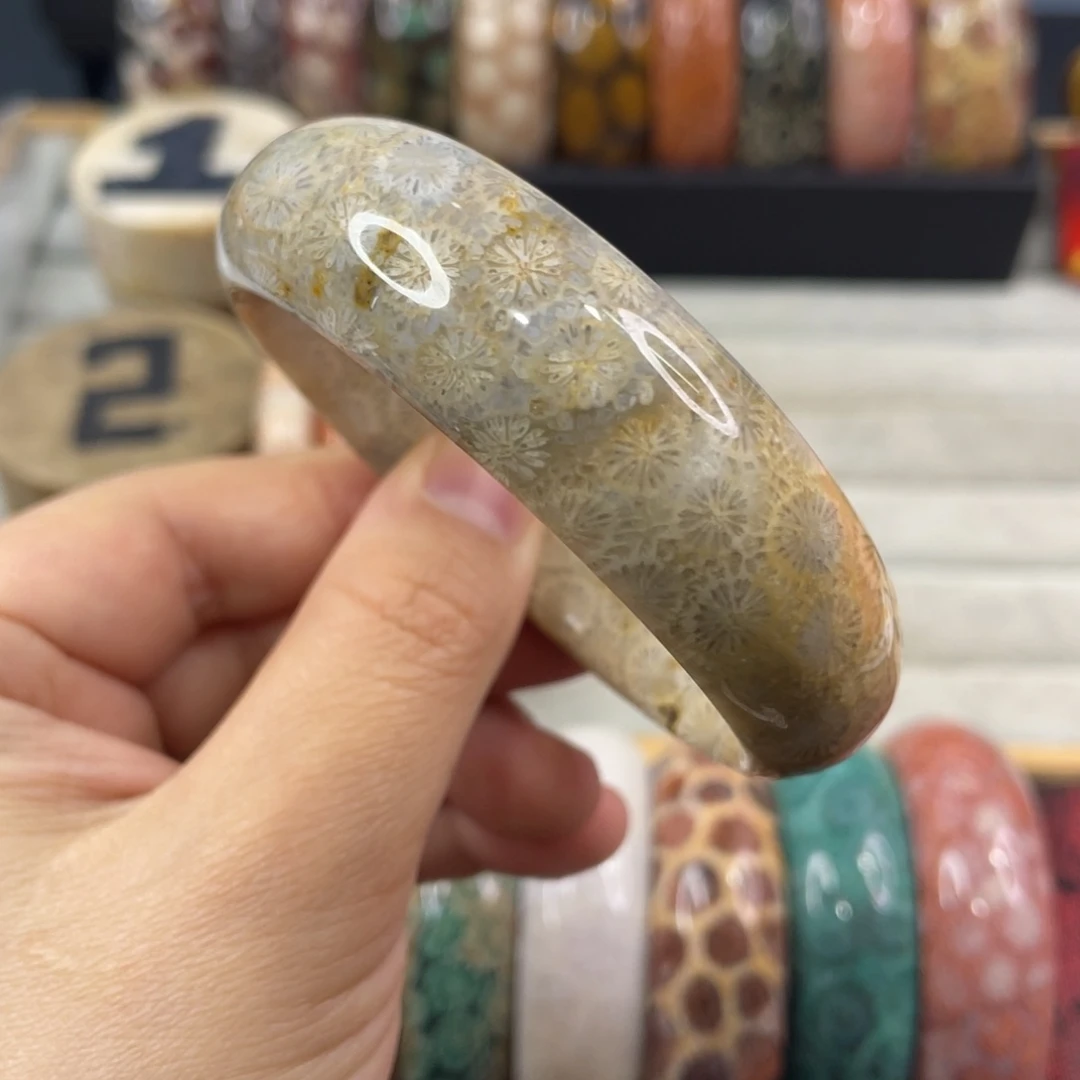 未镶嵌手镯硅化玉