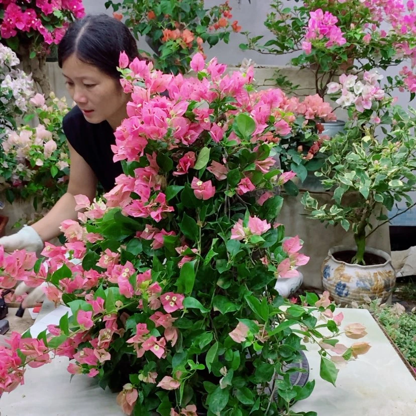 【闪购商品】完全开放