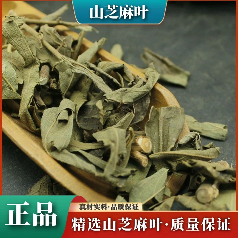 广西野生山芝麻叶精选小叶山芝麻叶新鲜干货500g-1000g包邮叶菜