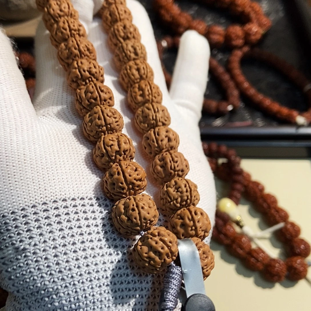 手串金刚菩提臻选级老树王14