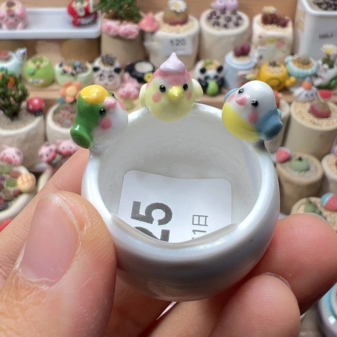 財***贝多肉植物125号种满屁屁