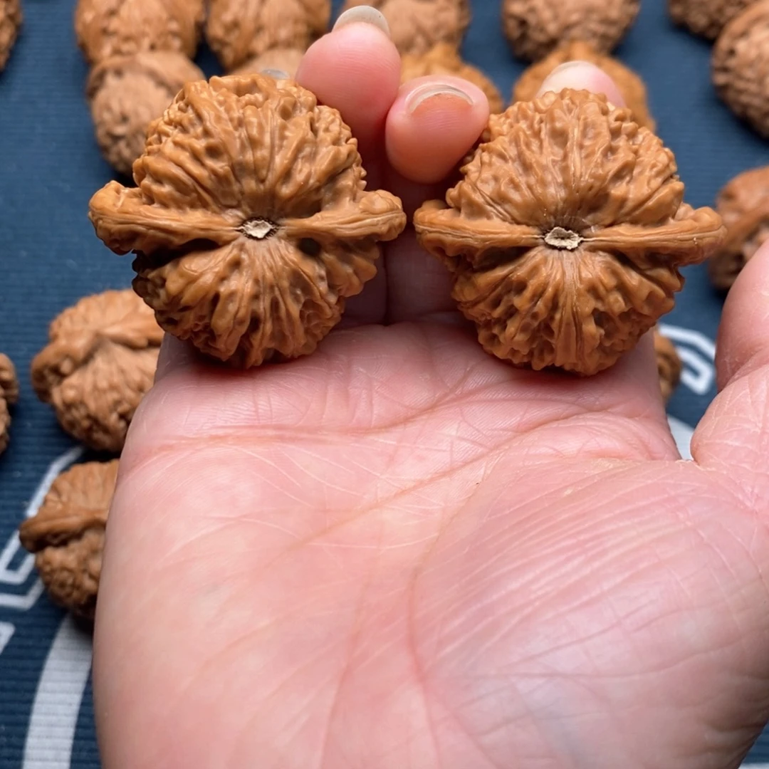 橄榄核手串/手链阔公子42