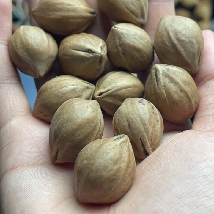 手串/手链橄榄核1.8