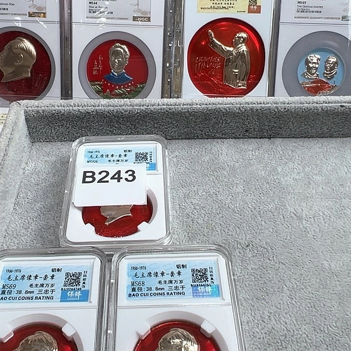 用***7其他普通金属精品像章243号像章
