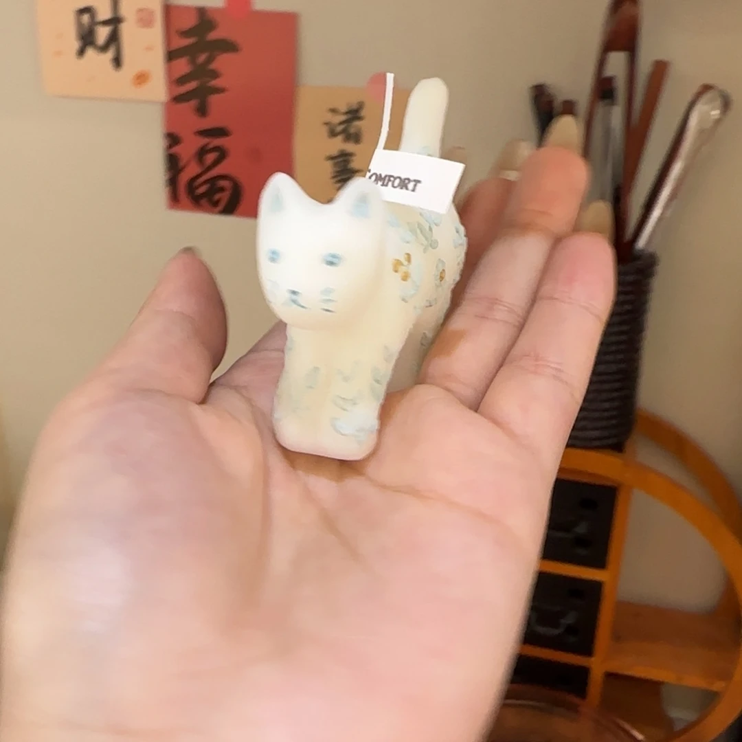 瓷片亮亮亮亮亮亮亮亮亮亮亮亮