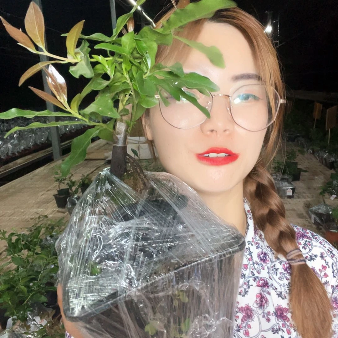金弹子金弹子血钻05